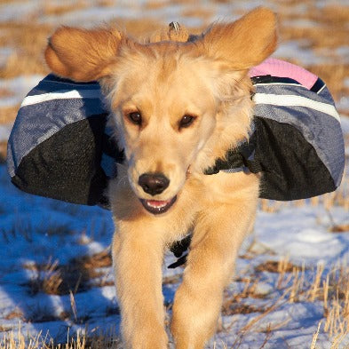 Backpack Extreme