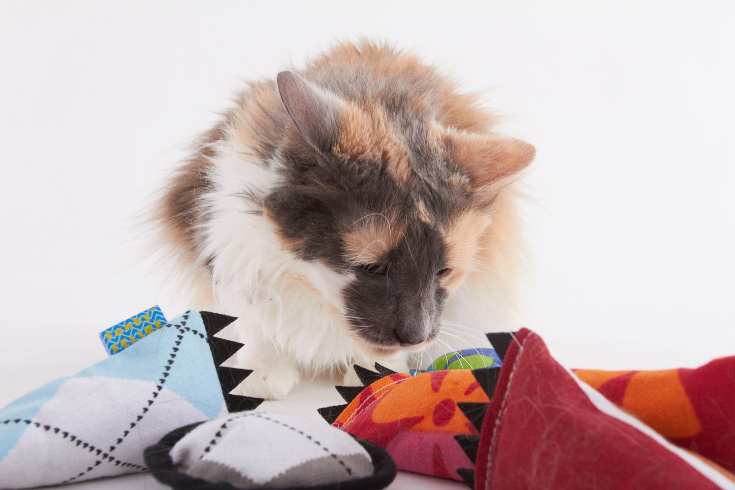 Cat Toy Large Kick
