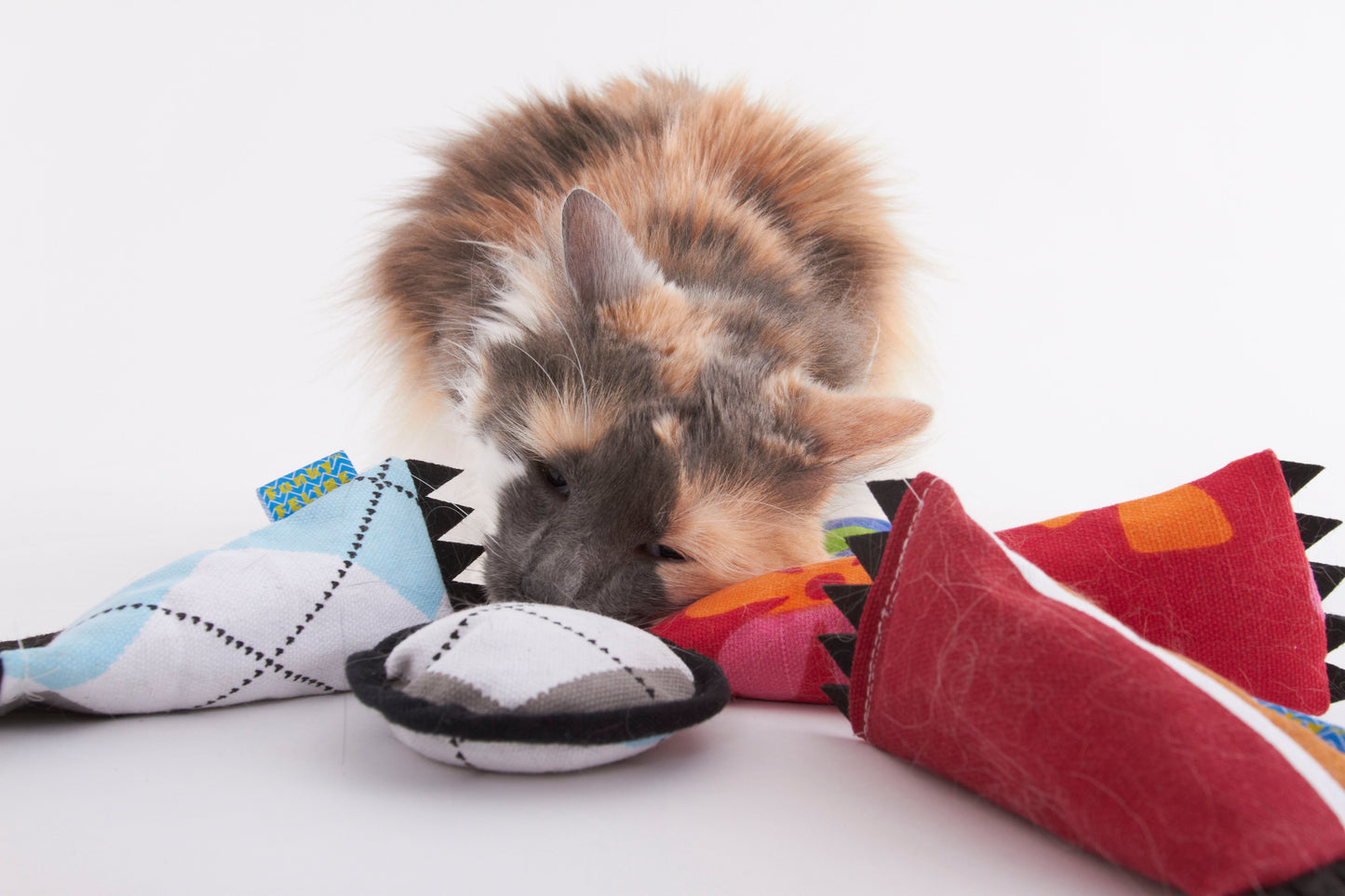 Cat Toy Small Kick