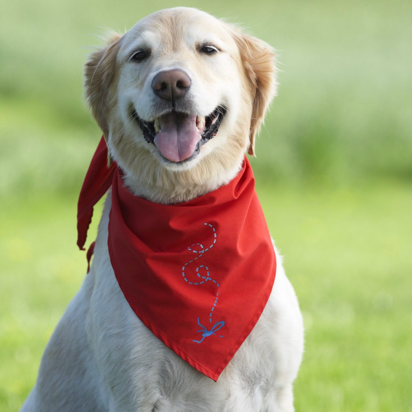 Insect Shield® Bandanas