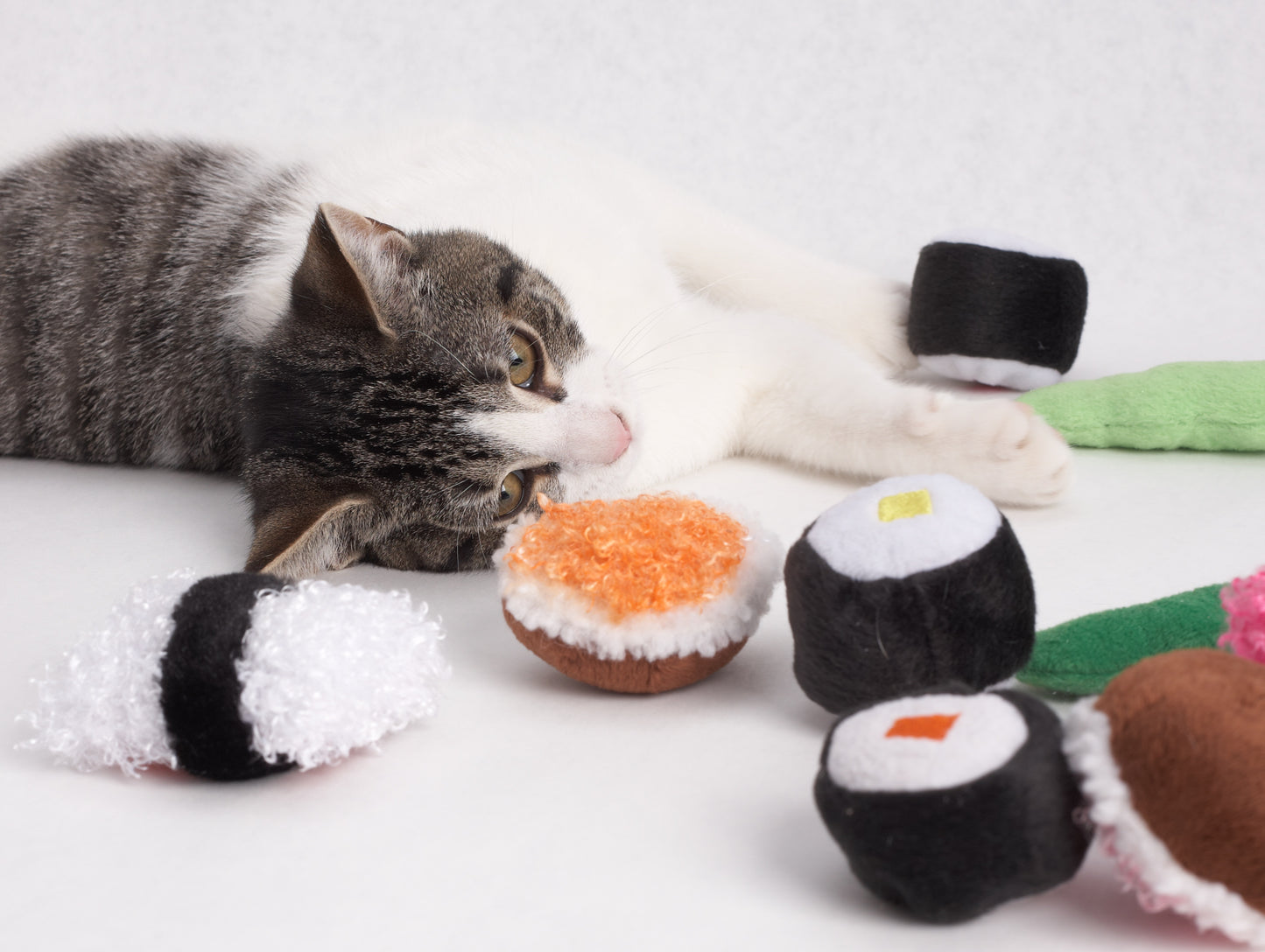 Cat Sushi