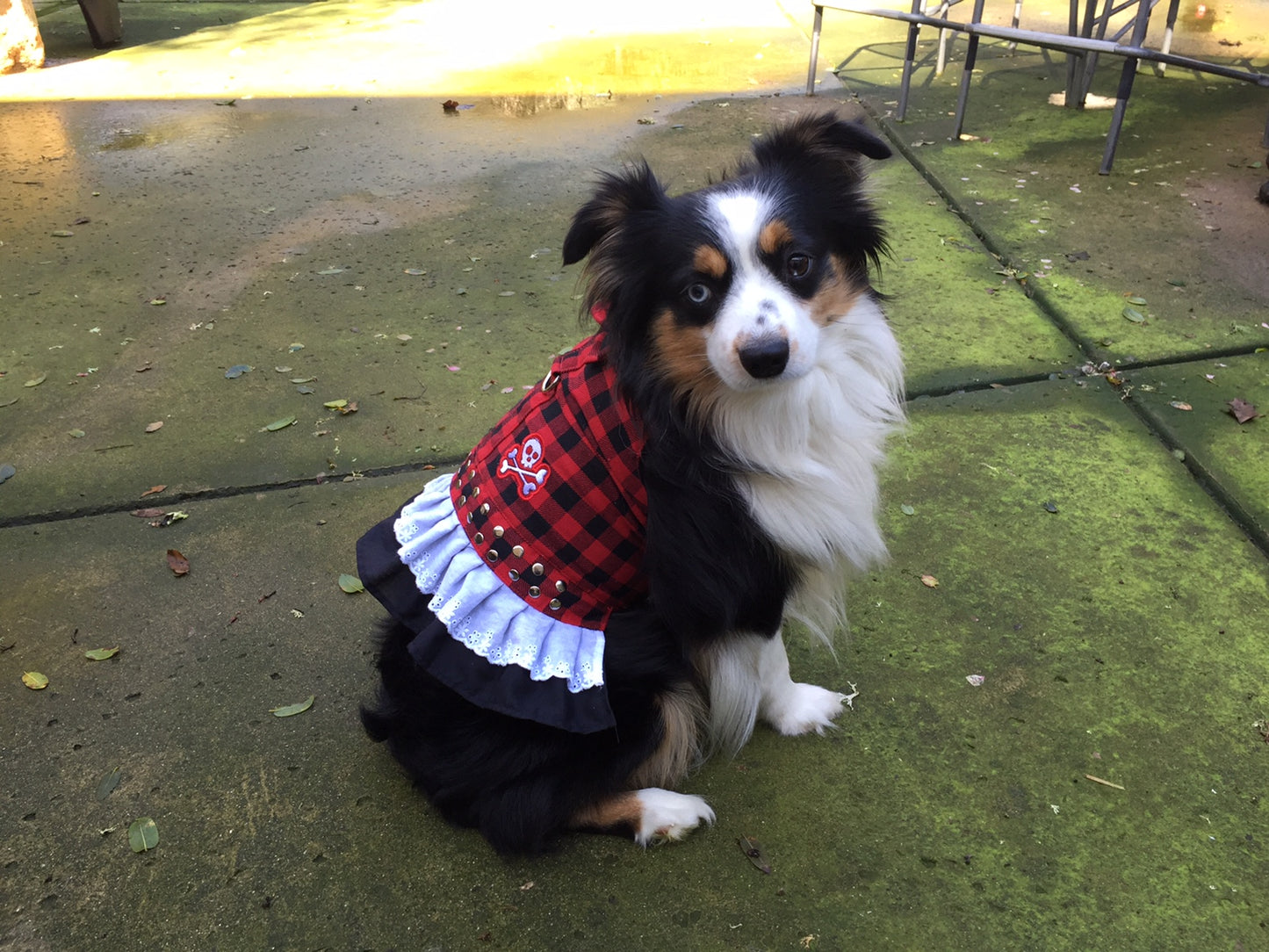 Harness Dress