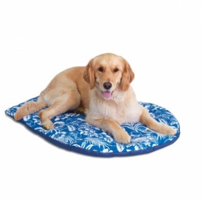 Travel Bed