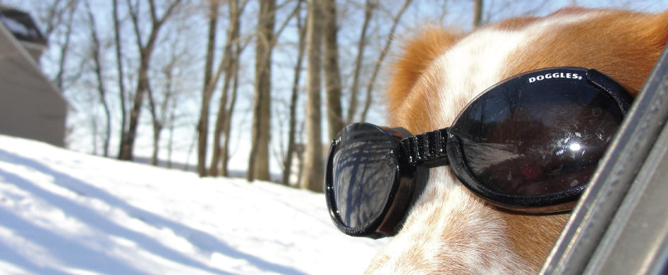 Doggles® ILS™