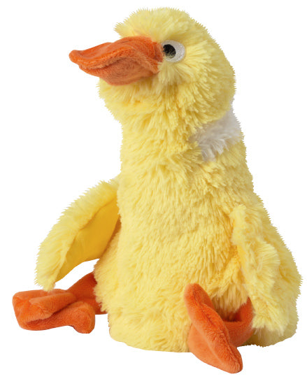 Water Bottle Toy