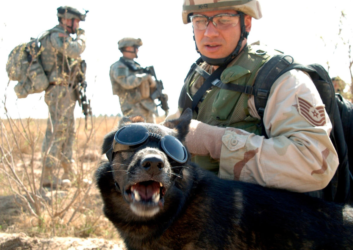 Doggles Leopard Doggles® ILS™