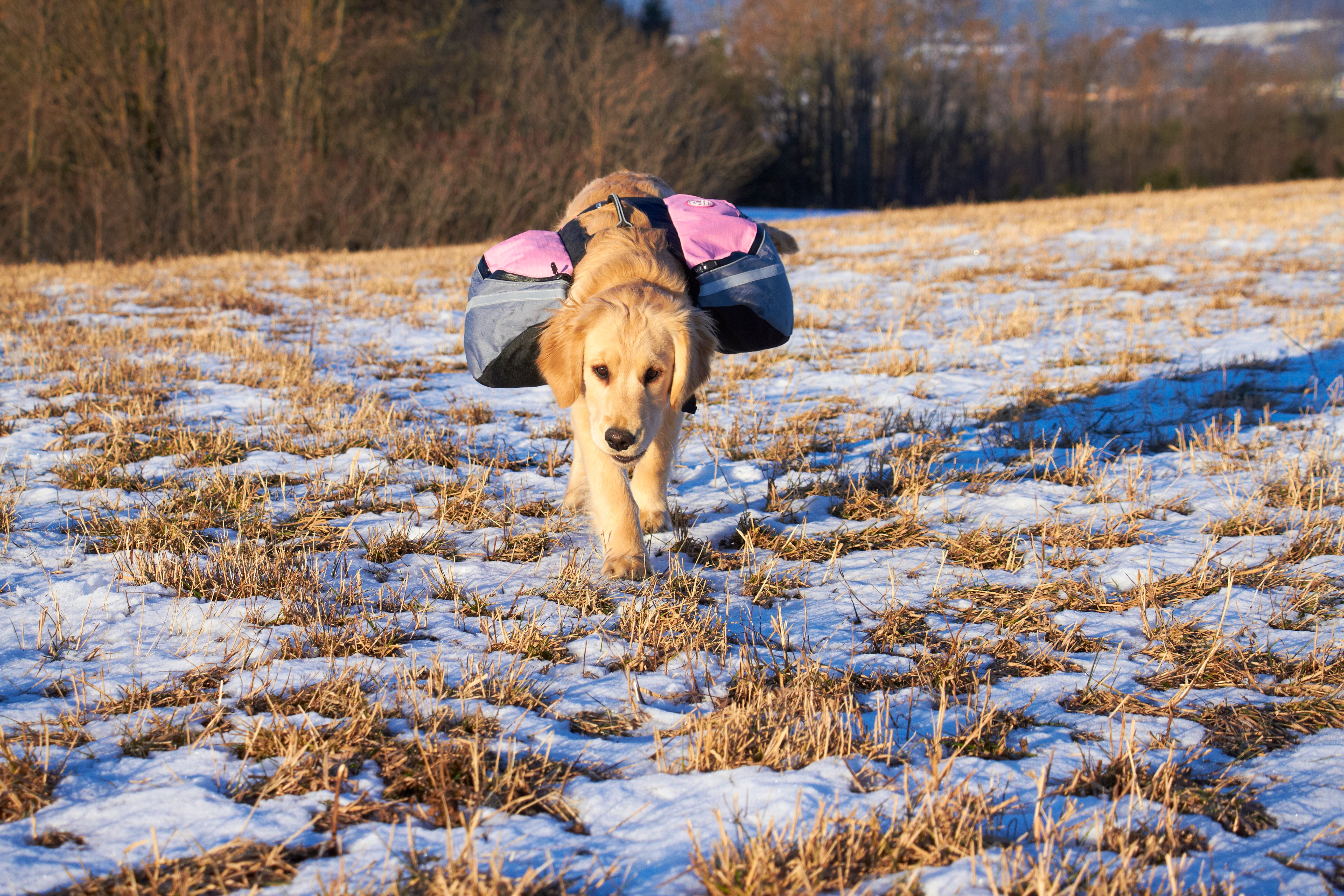 Backpack Extreme