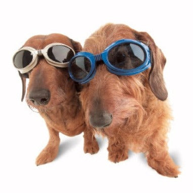 Doggles All Eyewear – Doggles