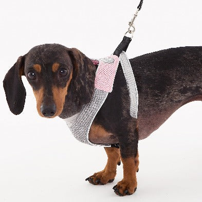 Dodoggles Shop All – Doggles