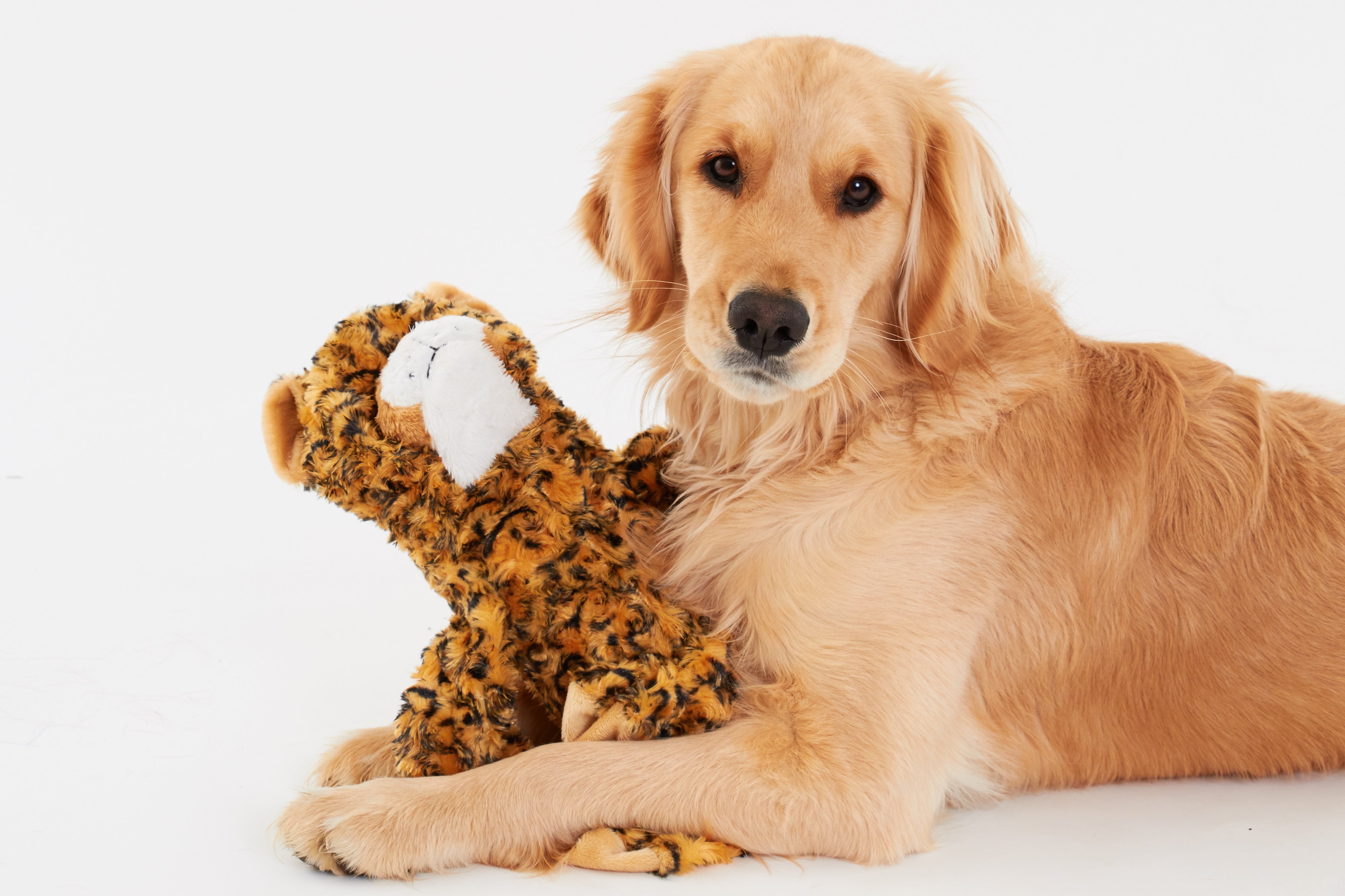 Doggles Leopard Two Liter Bottle Toy – Doggles